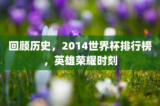 回顾历史，2014世界杯排行榜，英雄荣耀时刻金炬实业股份有限公司