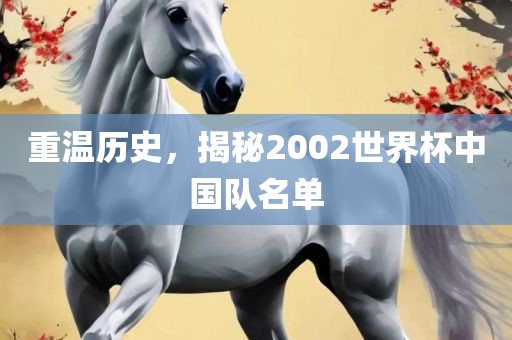 重温历史，揭秘2002世界杯中国队名单