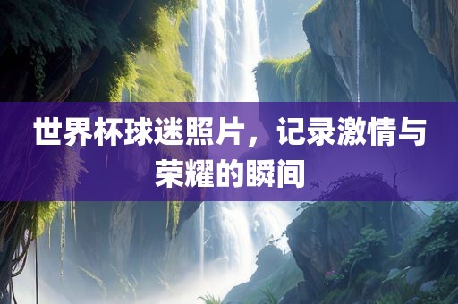 世界杯球迷照片，记录激情与荣耀的瞬间