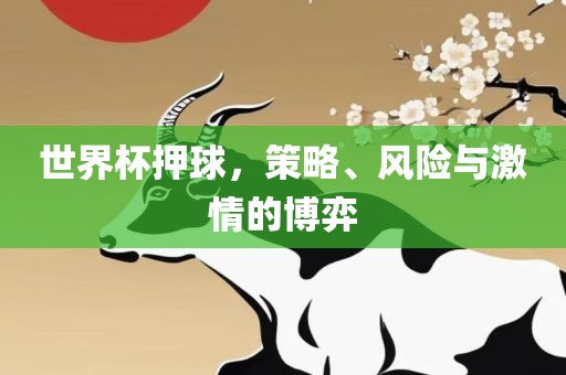 世界杯押球，策略、金炬实业股份有限公司风险与激情的博弈