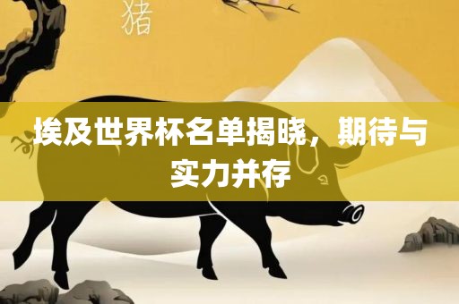 埃及世界杯名单揭晓，期待与实力并存