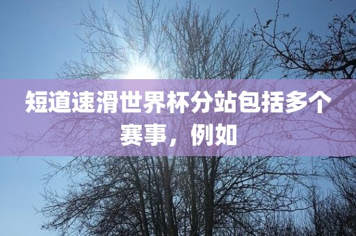 短道速滑世界杯分站包括多个赛事，例如