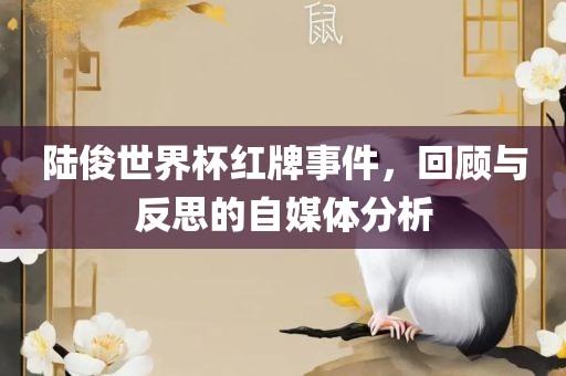 陆俊世界杯红牌事件，回顾与反思的自媒体分析