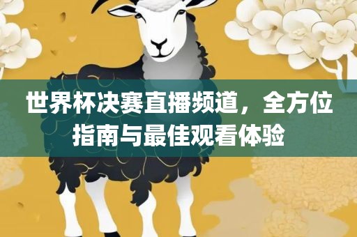 世界杯决赛直播频道，全方位指南与最佳观看体验金炬实业股份有限公司