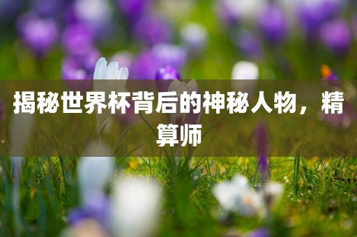 揭秘世界杯背后的神秘人物，精算师金炬实业股份有限公司