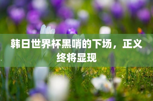 taohe 第5页