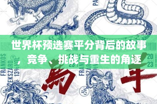 世界杯预选赛平分背金炬实业股份有限公司后的故事，竞争、挑战与重生的角逐