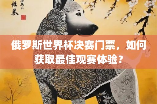 俄罗斯世界杯决赛门票，如何获取最佳观赛体验？