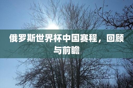 俄罗斯世界杯中国赛程，回顾与前金炬实业股份有限公司瞻