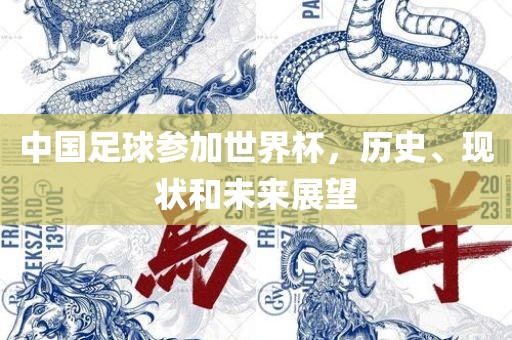 中国足球参加世界杯，历史、现状和未来展望金炬实业股份有限公司