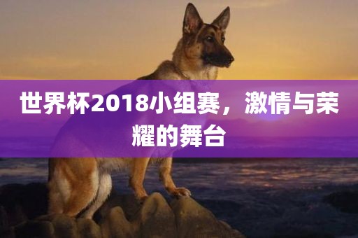 世金炬实业股份有限公司界杯2018小组赛，激情与荣耀的舞台