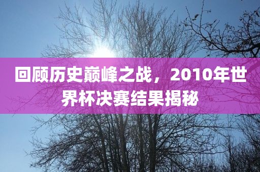 回顾历史巅峰之战，2010年世界杯决赛结果揭秘
