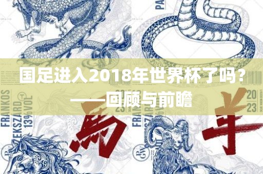 国足进入2018年世界杯了吗？——回顾与前瞻