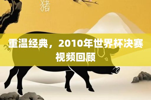 重温经典，2010年世界杯决赛视频回顾金炬实业股份有限公司