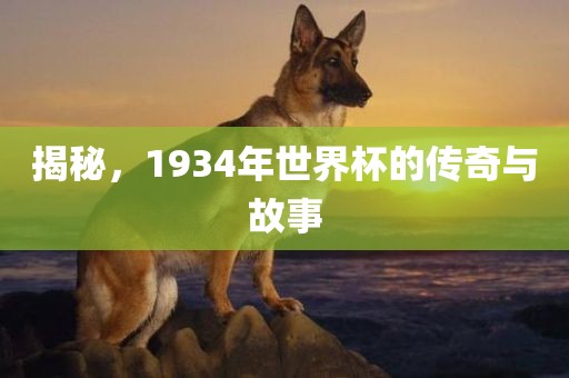 揭秘，1934年世界杯的传奇与故事