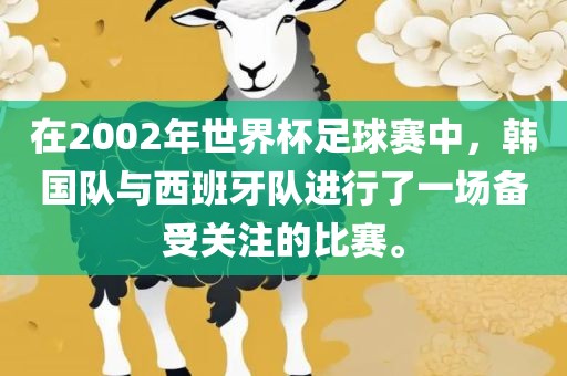在2002年世界杯足球赛中，韩国队与西班牙队进行了一场备受关注的比赛。