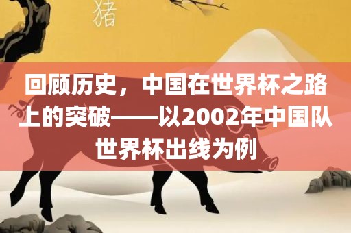 回顾历史，中国在世界杯之路上的突破——以2002年中国队世界杯出线为例