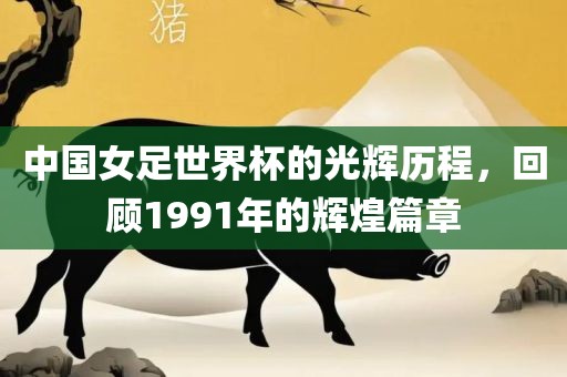 中国女足世界杯的光辉历程，回顾1991年的辉煌篇章