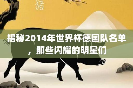 揭秘2014年世界金炬实业股份有限公司杯德国队名单，那些闪耀的明星们