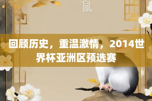 回顾历史，重温激情，2014世界杯亚洲区预选赛