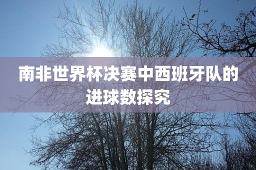 南非世界杯决赛中西班牙队的进球数探究