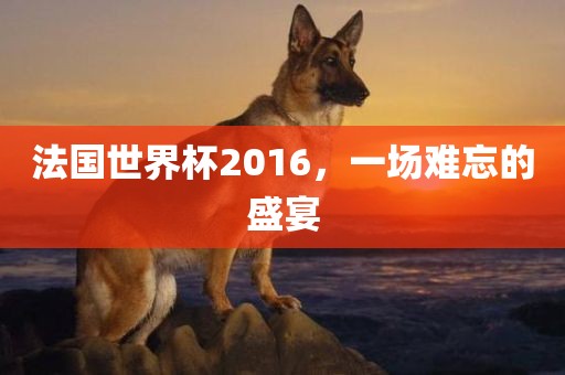 法国世界杯2016，一场难忘的盛宴