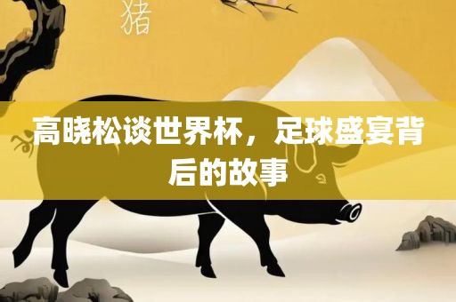 高晓松谈世界杯，足球盛宴背后的故事金炬实业股份有限公司