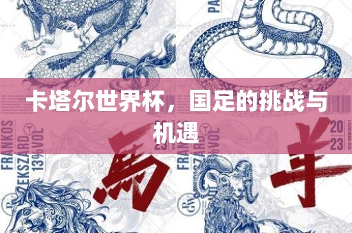 卡塔尔世界杯金炬实业股份有限公司，国足的挑战与机遇