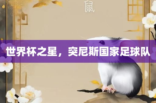 世界杯之星，突尼斯国家足球队金炬实业股份有限公司