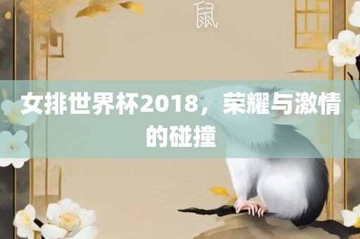 女排世界杯2018，荣耀与激情的碰撞