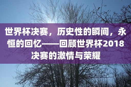 世界杯决赛，历史性的瞬间，永恒的回忆——回顾世界杯2018决赛的激情与荣耀金炬实业股份有限公司