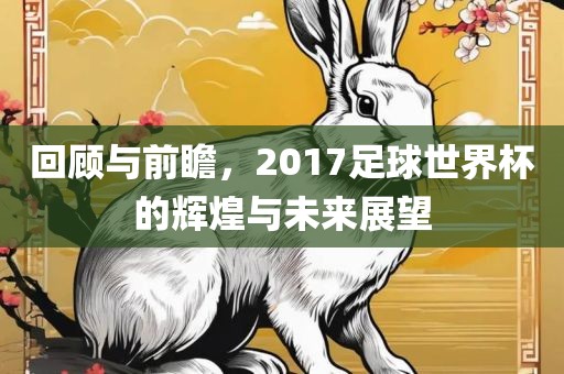回顾与前瞻，2017足球世界杯的辉煌与未来展望金炬实业股份有限公司