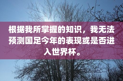 根据我所掌握的知识，我无法预测国足今年的表现或是否进入世界杯。金炬实业股份有限公司