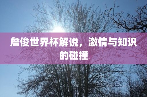 詹俊世界杯解说，激情与知识的碰撞