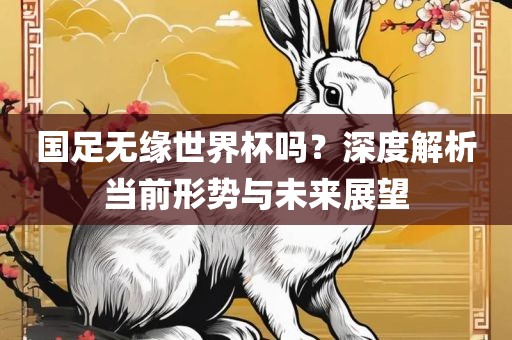 国足无缘世界杯吗？深度解析当前形势与未来展望
