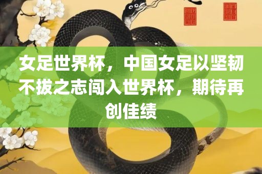女足世界杯，中国女足以坚韧不拔之志闯入世界杯，期待再创佳绩金炬实业股份有限公司