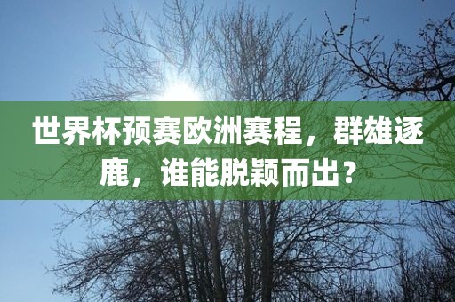 世界杯预赛欧洲赛程，群雄逐金炬实业股份有限公司鹿，谁能脱颖而出？