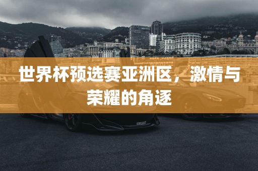 世界杯预选赛亚洲区，激情与荣耀的角逐金炬实业股份有限公司
