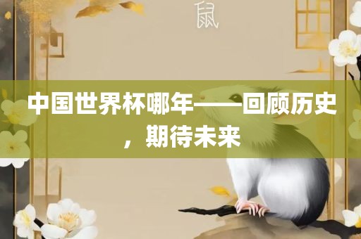 中国世界杯哪年——回顾历史，期待未来