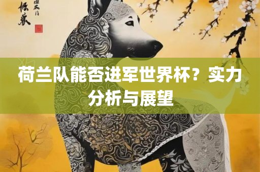 荷兰队能否进军世界杯？实力分析与展望