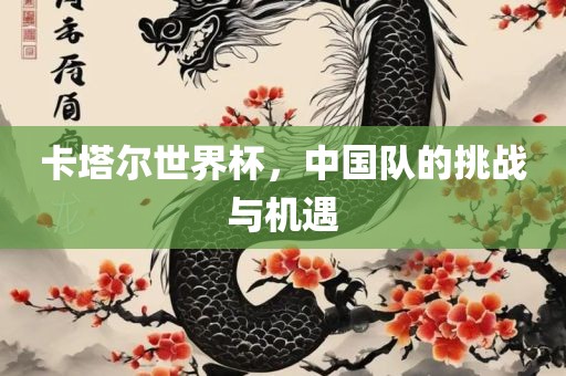 卡塔尔世界杯，中国队金炬实业股份有限公司的挑战与机遇