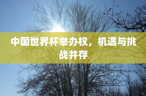 中国世界杯举办权，机遇与挑战并存