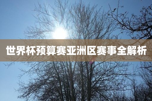 世界杯预算赛亚洲区赛事全解析