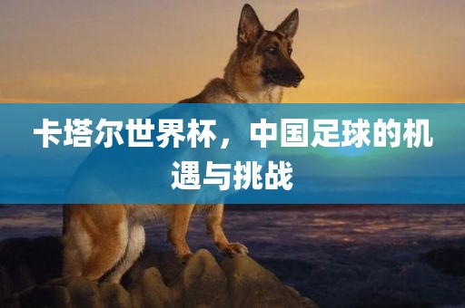 卡塔尔世界杯，中国足球的机遇与挑战