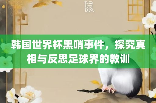 韩国世界杯黑哨事件，探究真相与反思足球界的教训