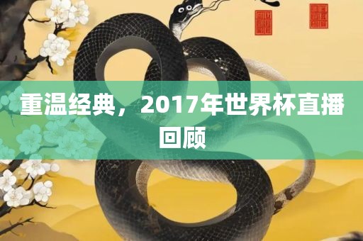 重温经典，2017年世界杯直播回顾金炬实业股份有限公司