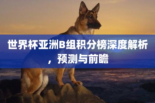 世界杯亚洲B组积分榜深度解析，预测与前瞻金炬实业股份有限公司