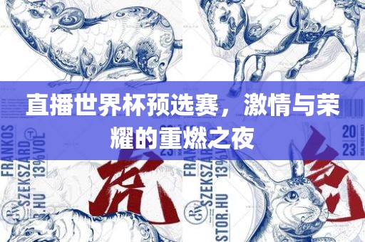 直播世界杯预选赛，激情与荣耀的重燃之夜