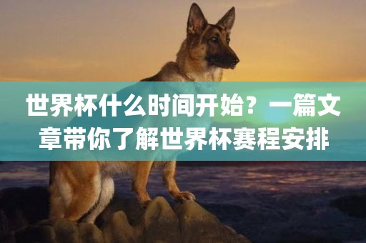 世界杯什么时间开始？一篇文章带你了解世界杯赛程安排金炬实业股份有限公司
