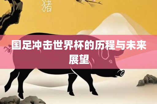 国足冲击世界杯的历程与未来展望